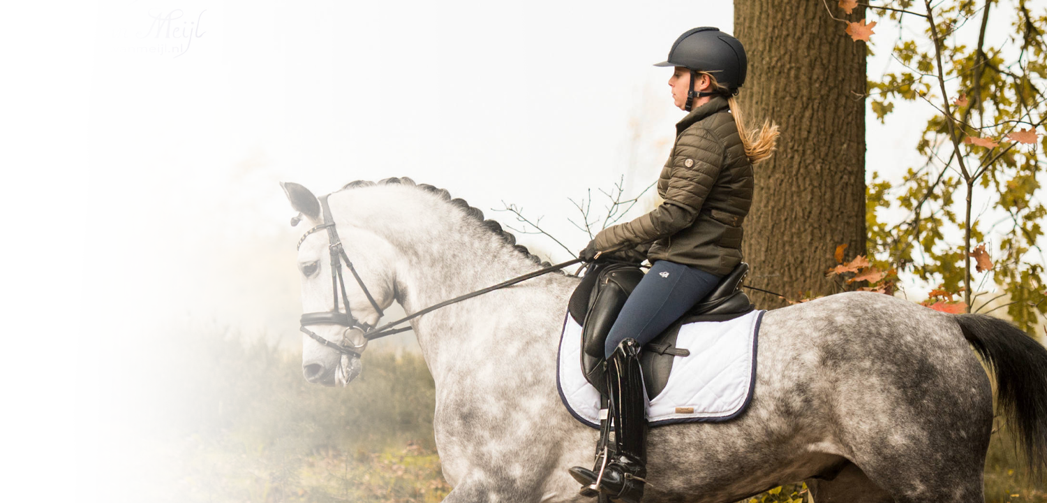 lizz-kok-dressage