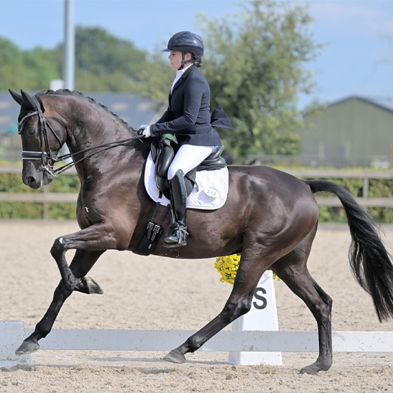 magic-rock-lizz-kok-dressage