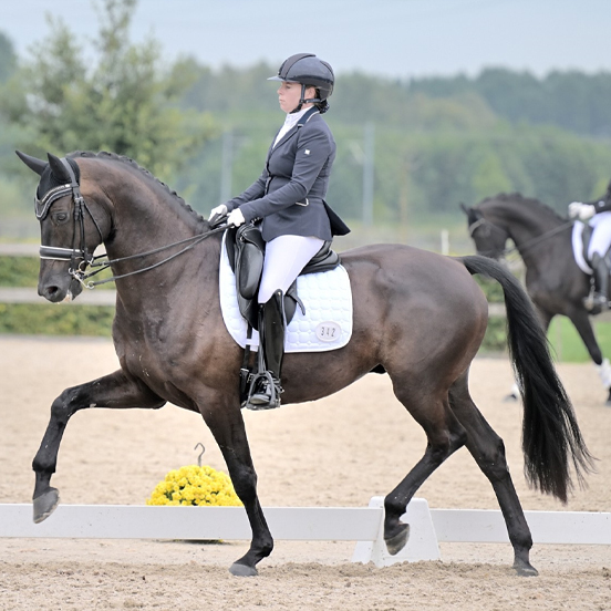 magic-rock-lizz-kok-dressage